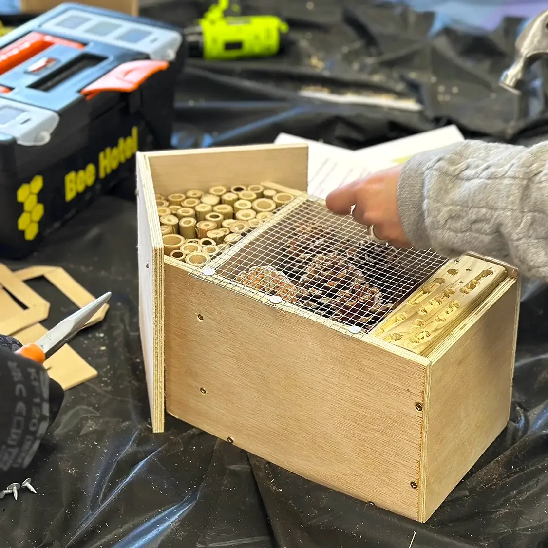 Bee hotel participant decorating with pine cones