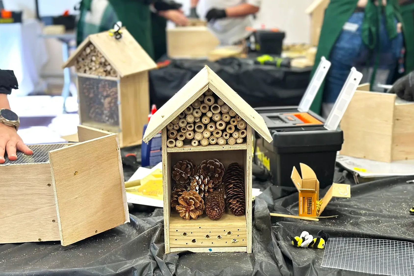 Bee hotel with pine cones and bamboo sticks