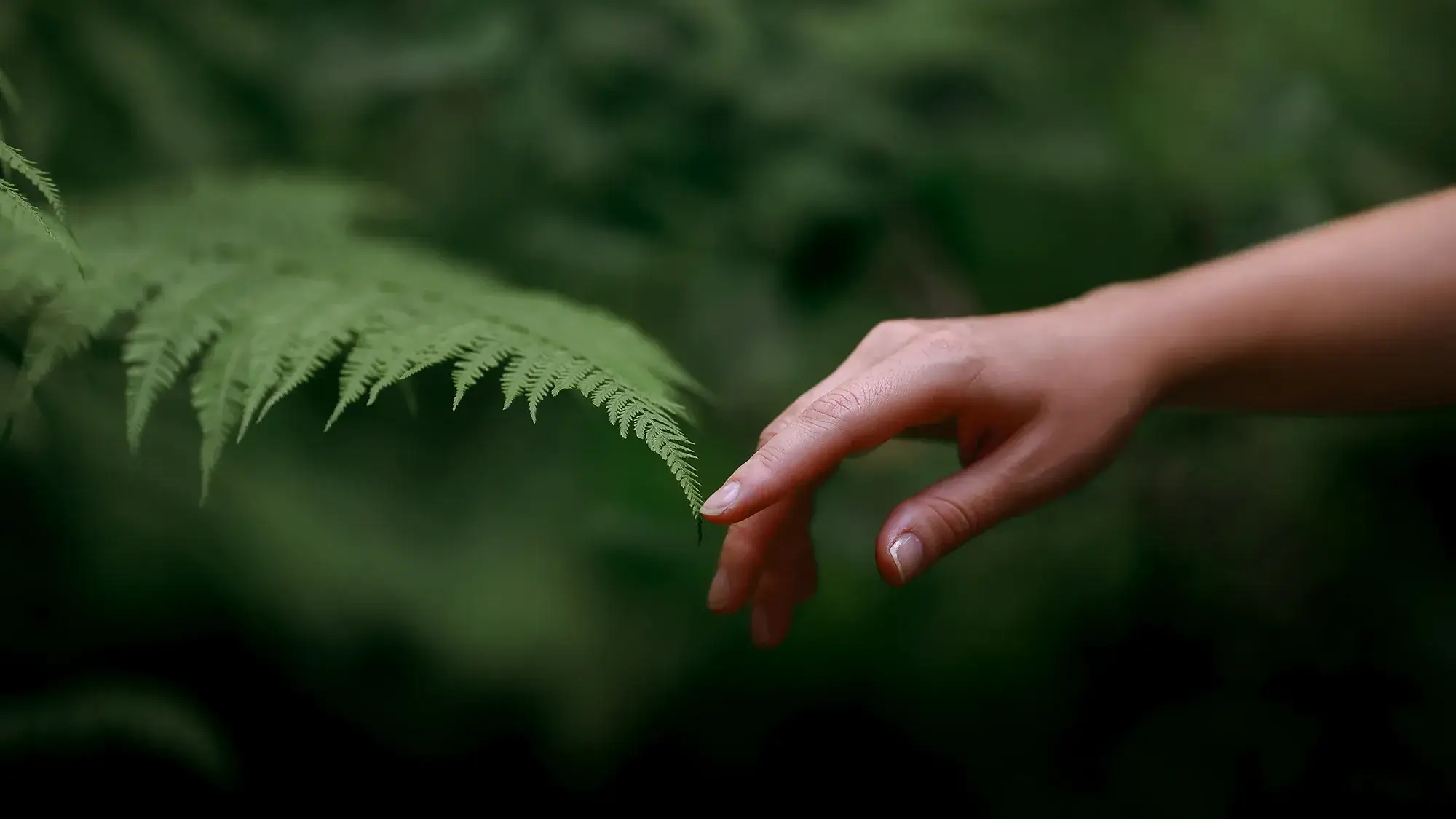 hand touching green leaf meaning sustainable and CSR team building