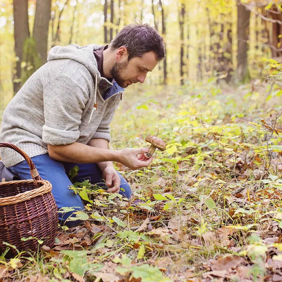 man in forest with basket foraging for wild mushrooms in foraging experience team building activity