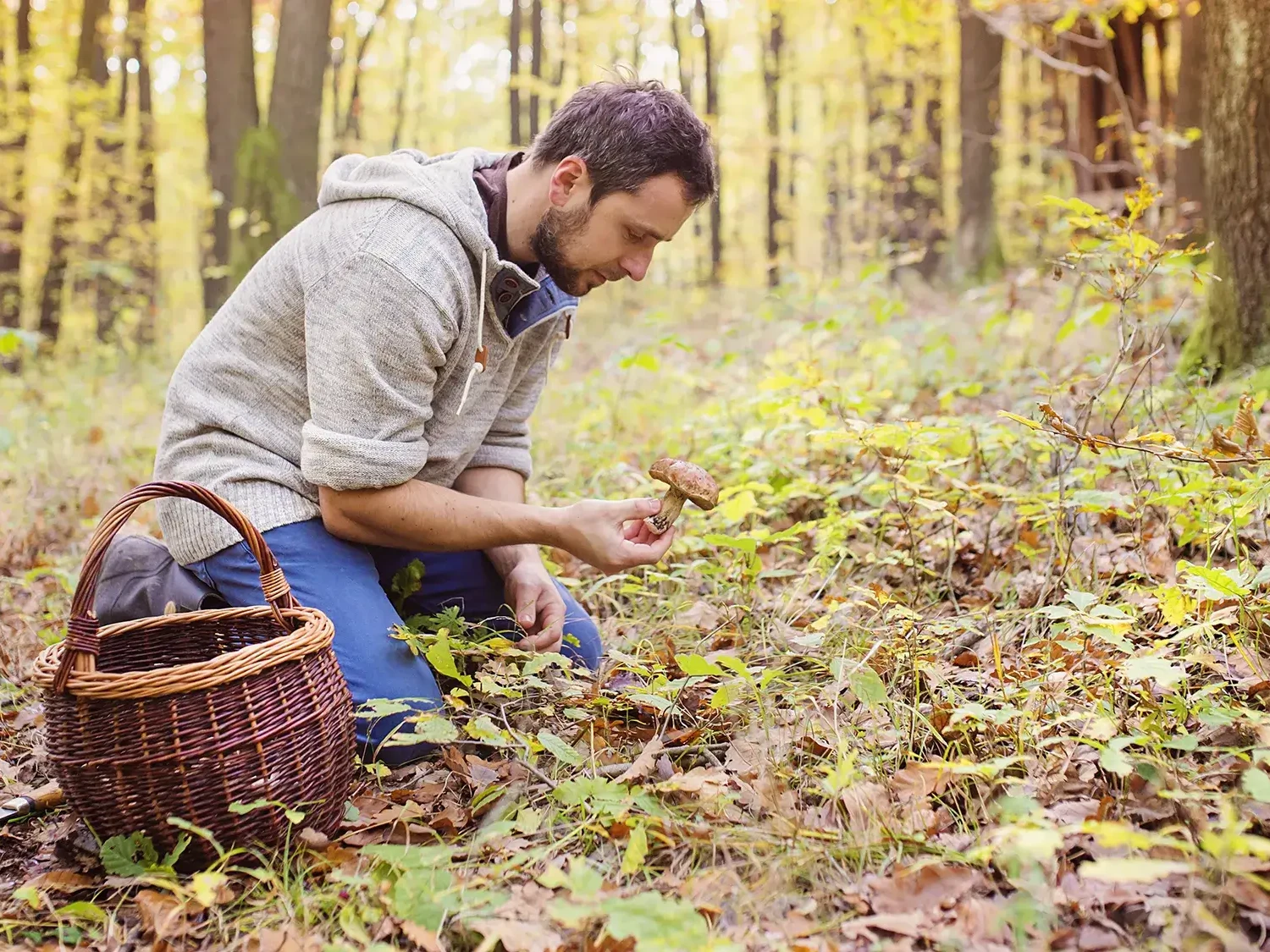 man in forest with basket foraging for wild mushrooms in foraging experience team building activity