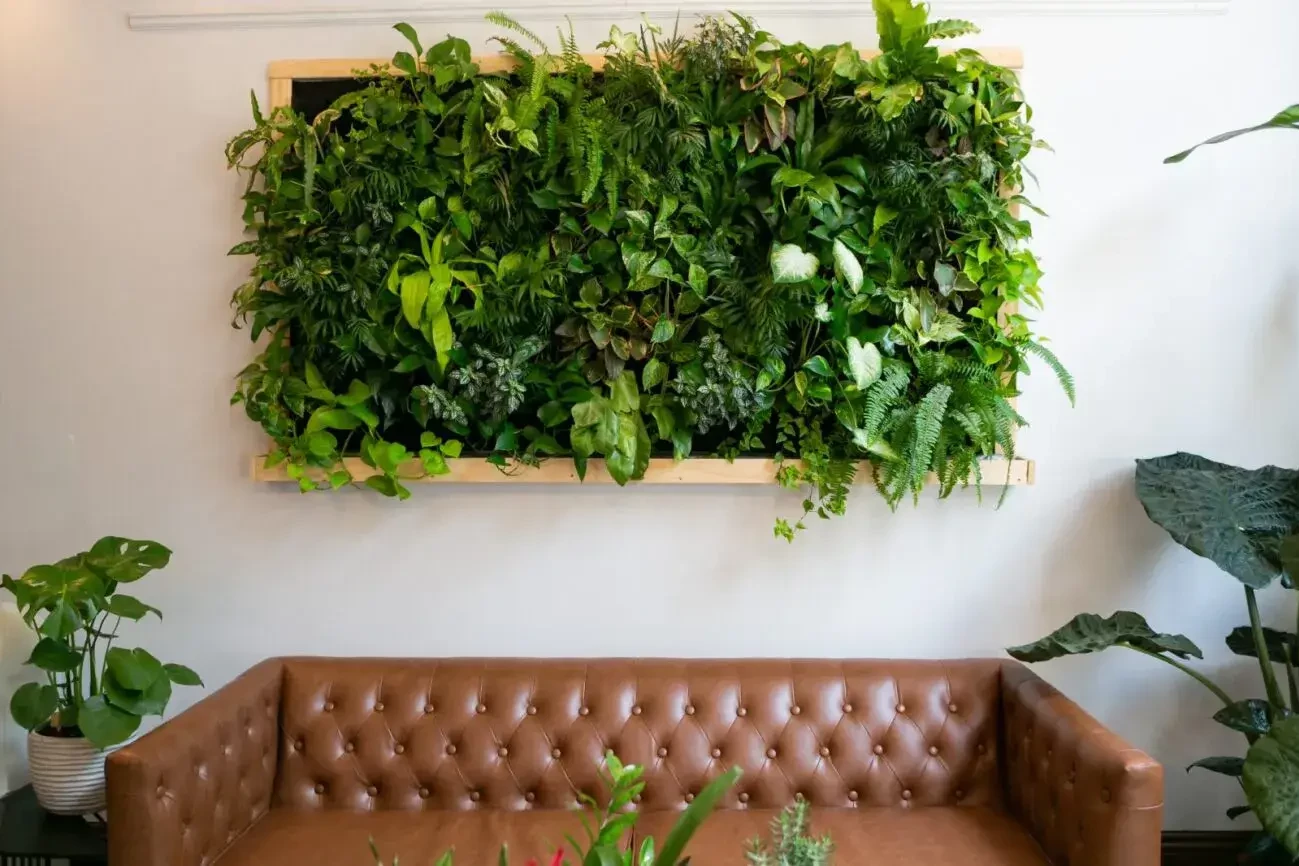 Lush green living wall in wooden frame above brown sofa in office