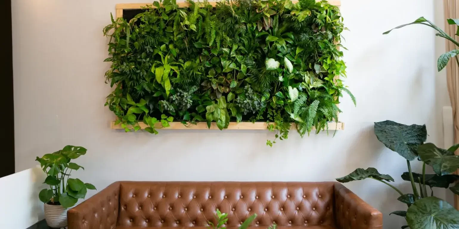 Lush green living wall in wooden frame above brown sofa in office