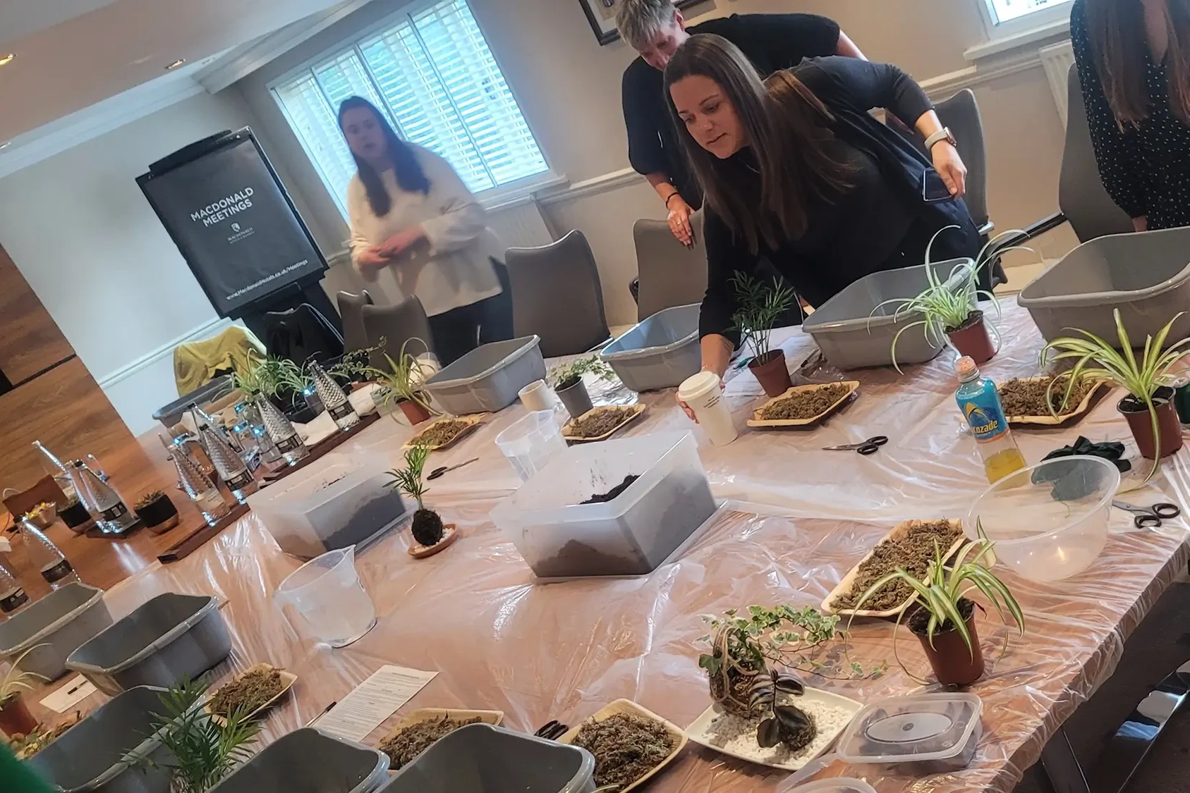 Kokedama team building workshop table with the materials