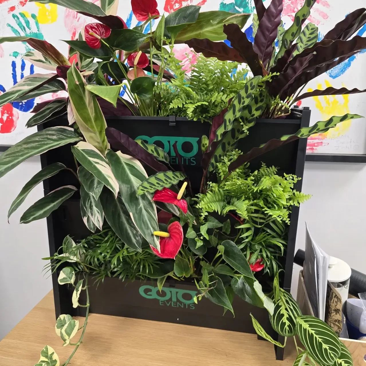 Living wall planter with greenery and colourful flowers