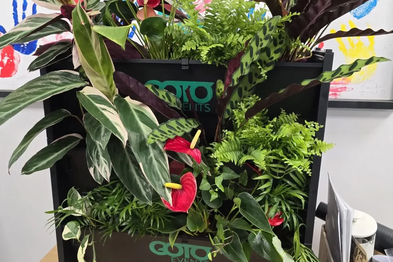 Living wall planter with greenery and colourful flowers