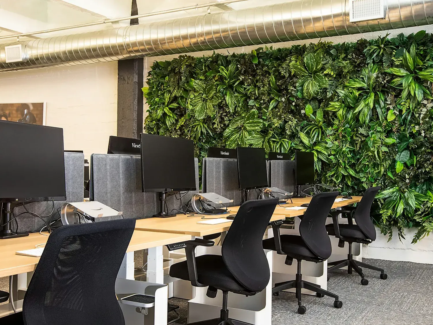 Green living wall next to office desks