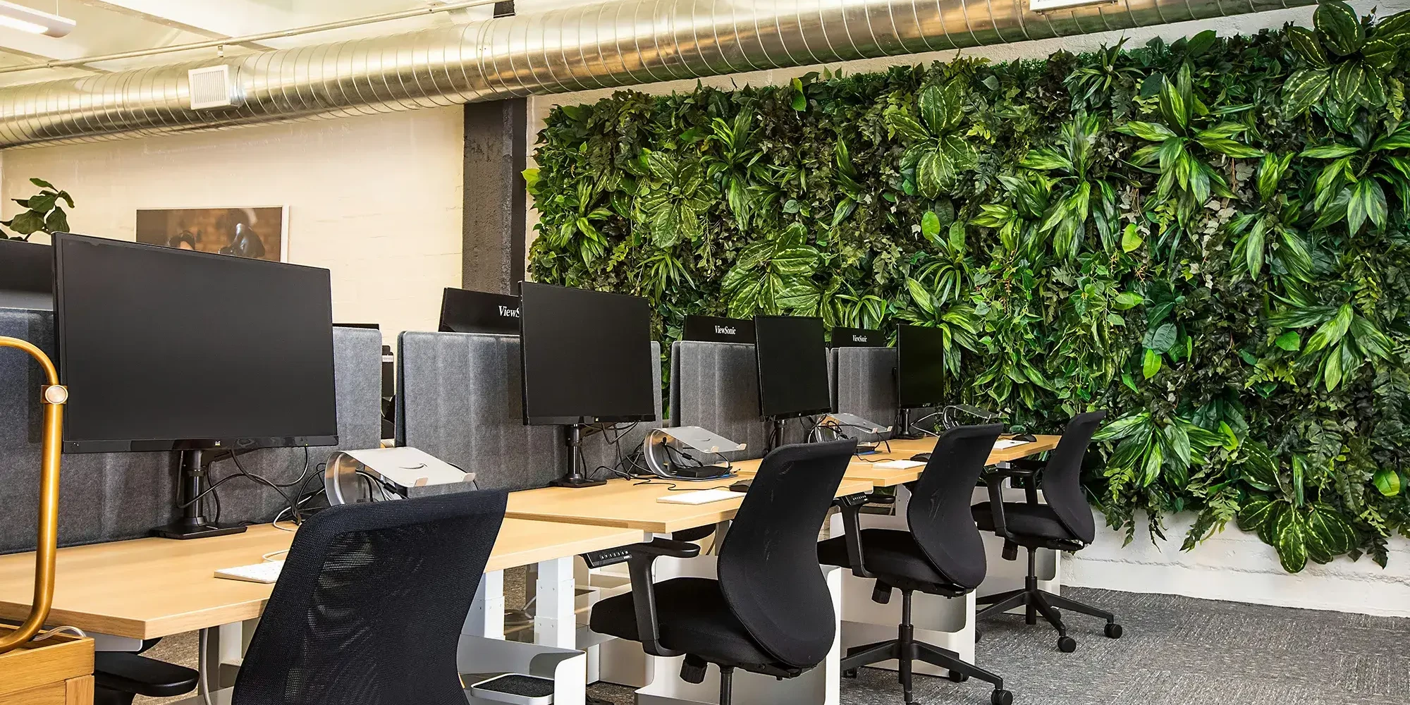 Green living wall next to office desks