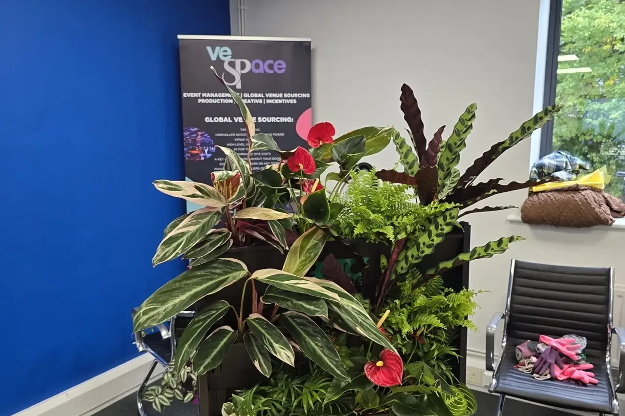 Living wall with colourful flowers