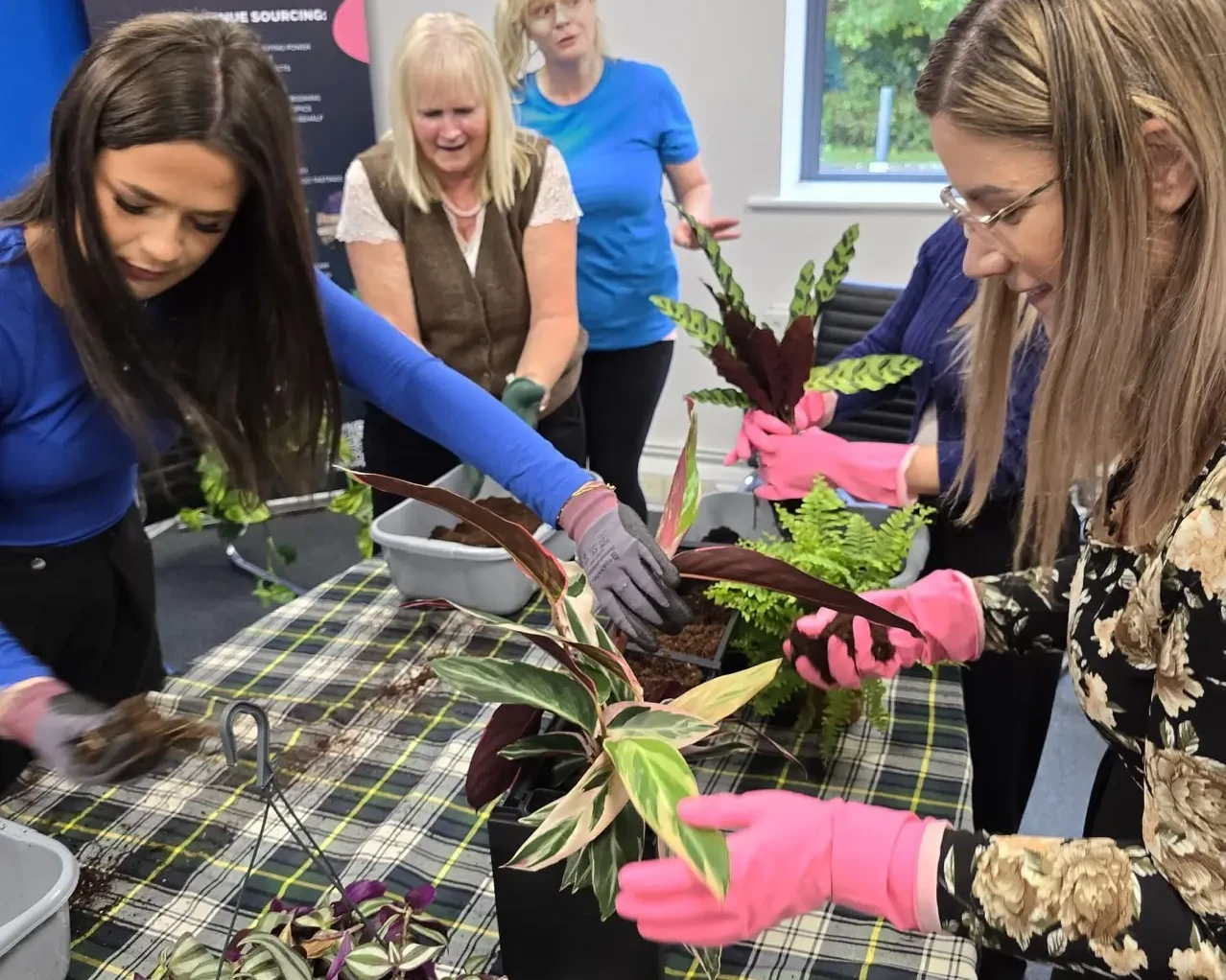 Team planting for living wall sustainability team building event