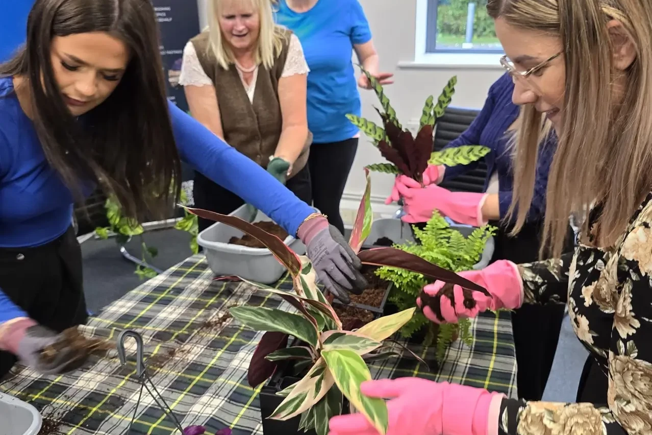 Team planting for living wall sustainability team building event