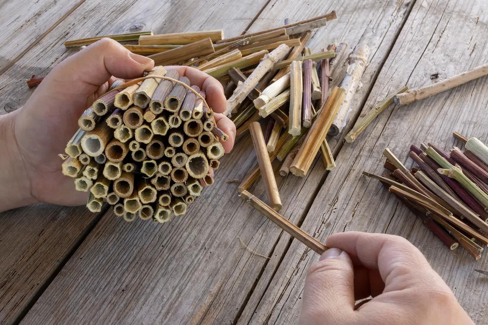 bee habitat workshop crafting with sticks