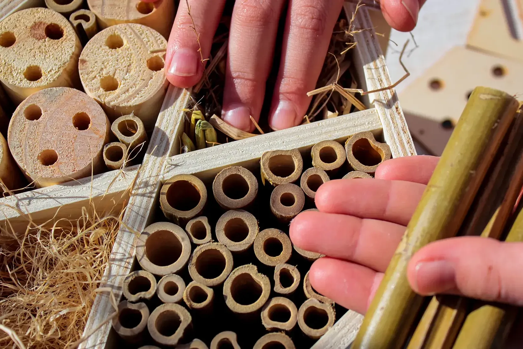 bee hotel kit for sustainability workshop team building