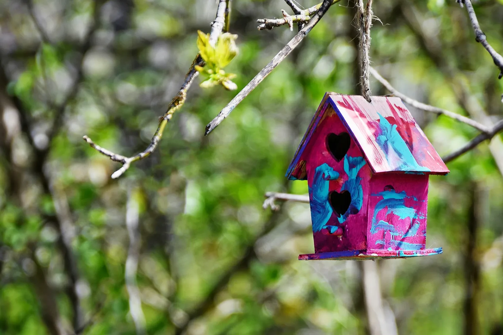 colourful birdhouse hanging from tree after team building event