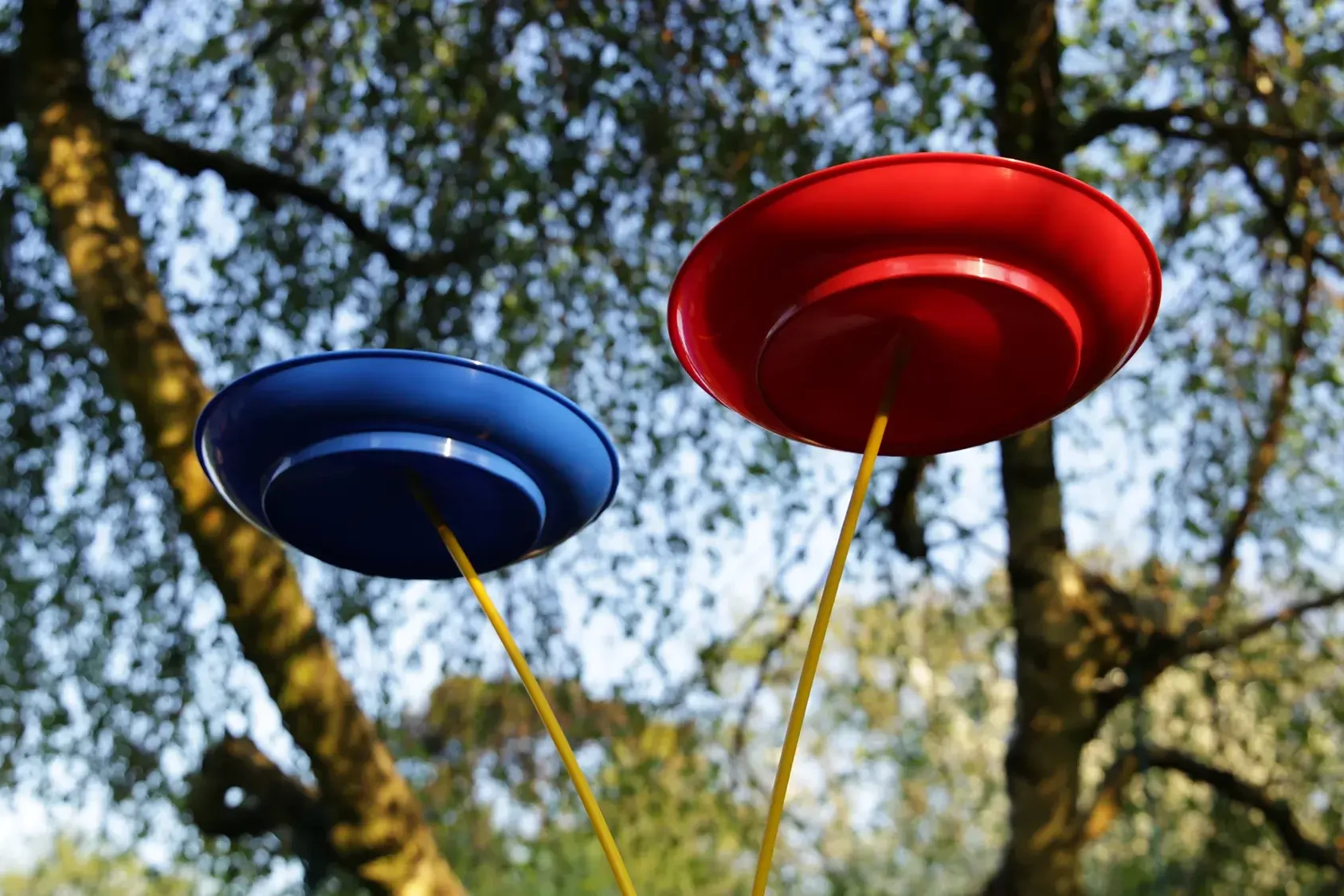 plate spinning at outdoor corporate event