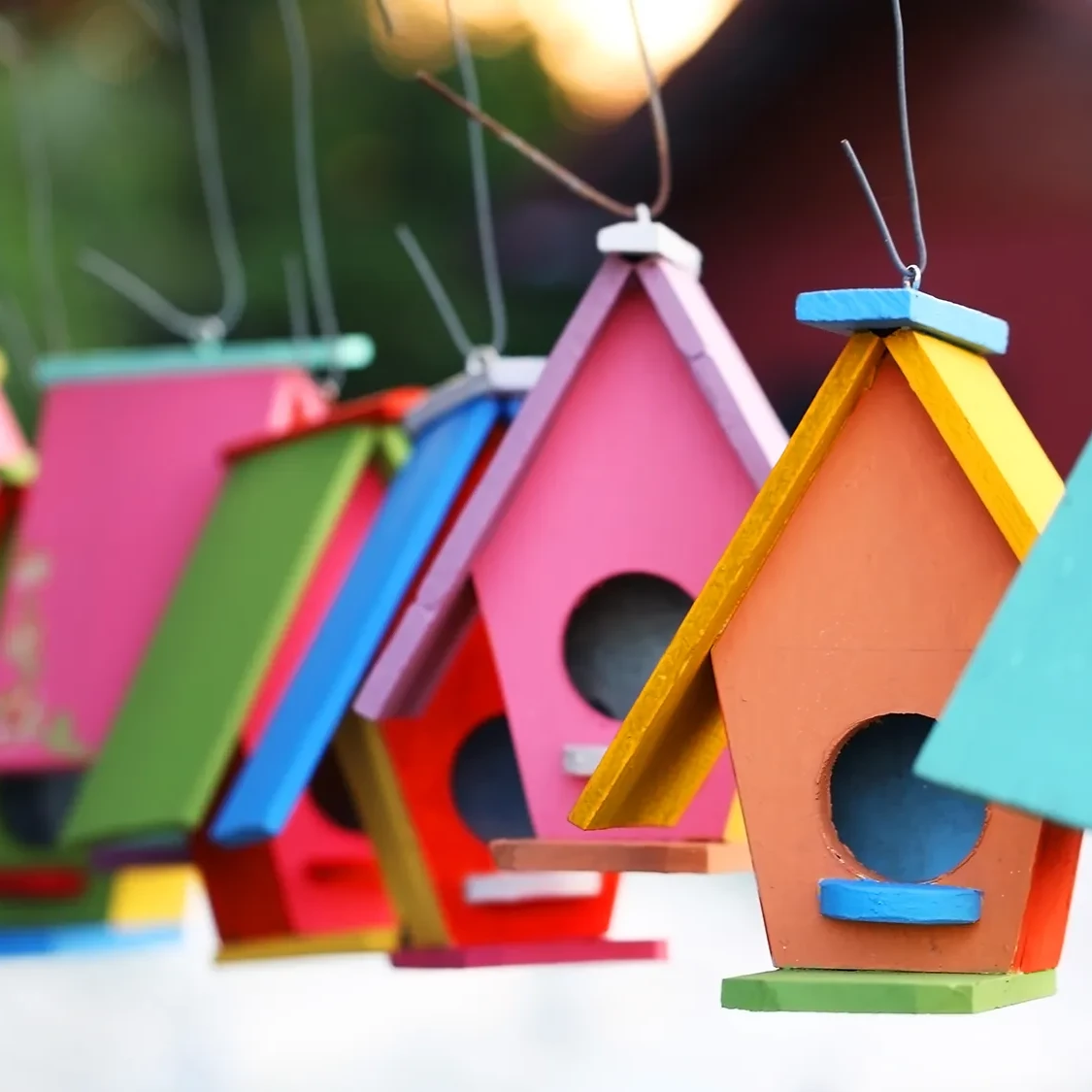 colourful birdhouses hanging from line