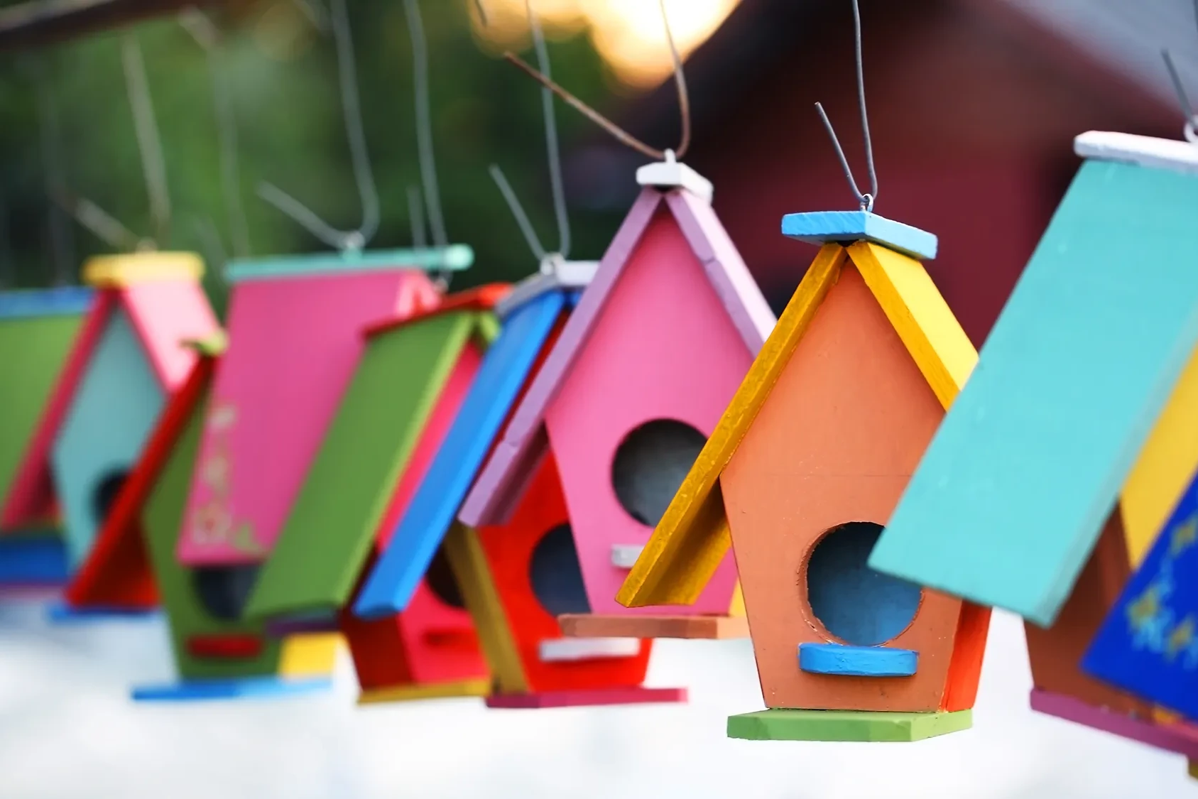 colourful birdhouses hanging from line