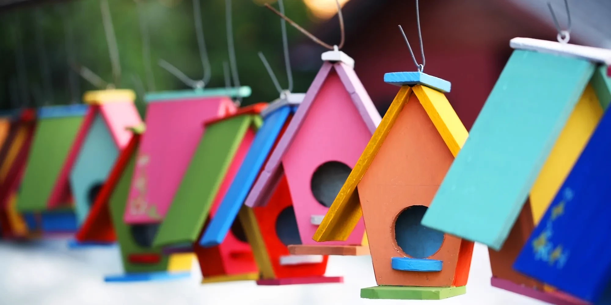 colourful birdhouses hanging from line