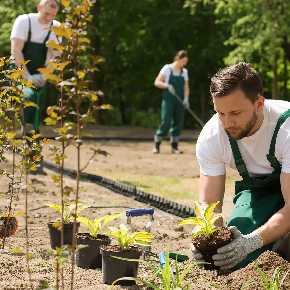 people planting in community clean up team building activity