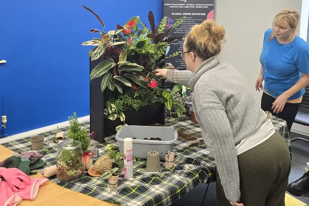 Team building participant planting living wall in the office