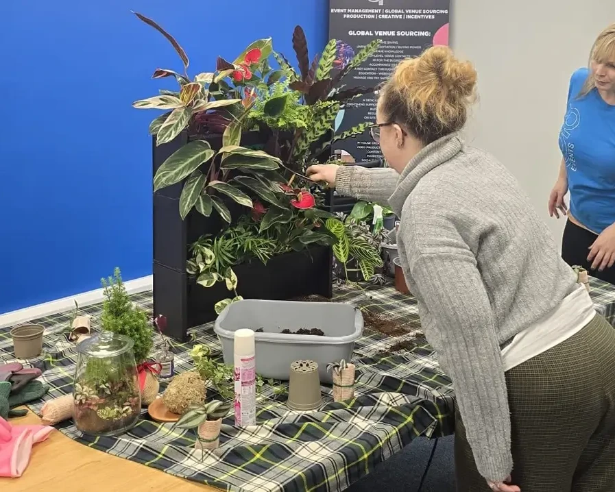 Team building participant planting living wall in the office