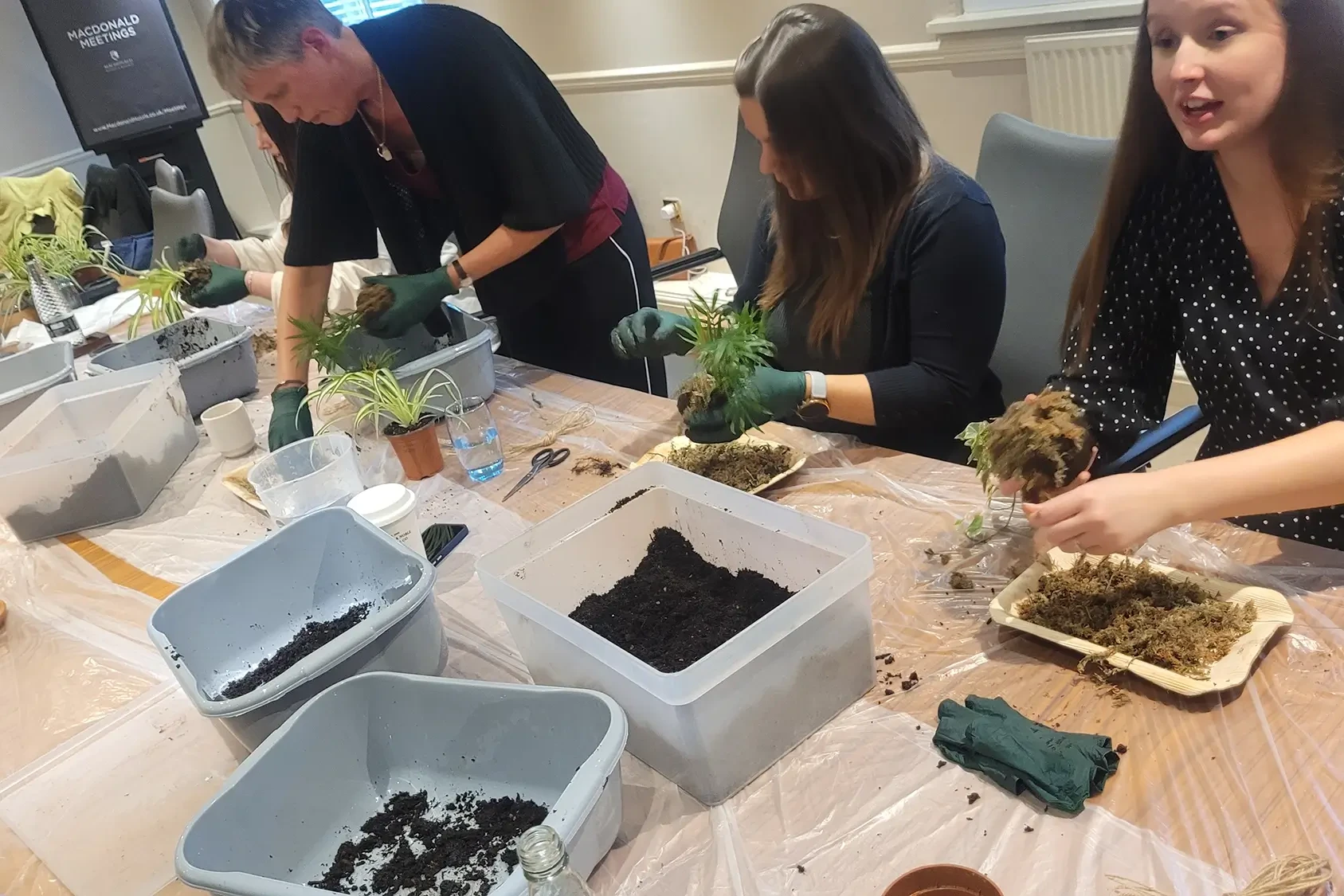 Team working with soil and moss to form kokedama balls in team building activity