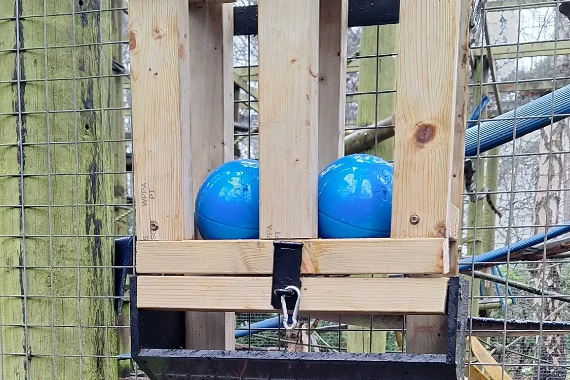 monkey feeder built in paws for a cause charity team building event