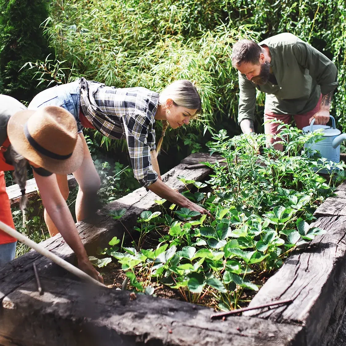 people digging in community clean up team building