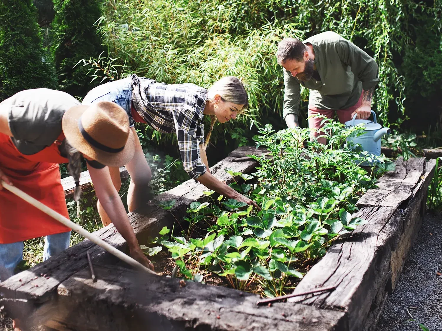 people digging in community clean up team building