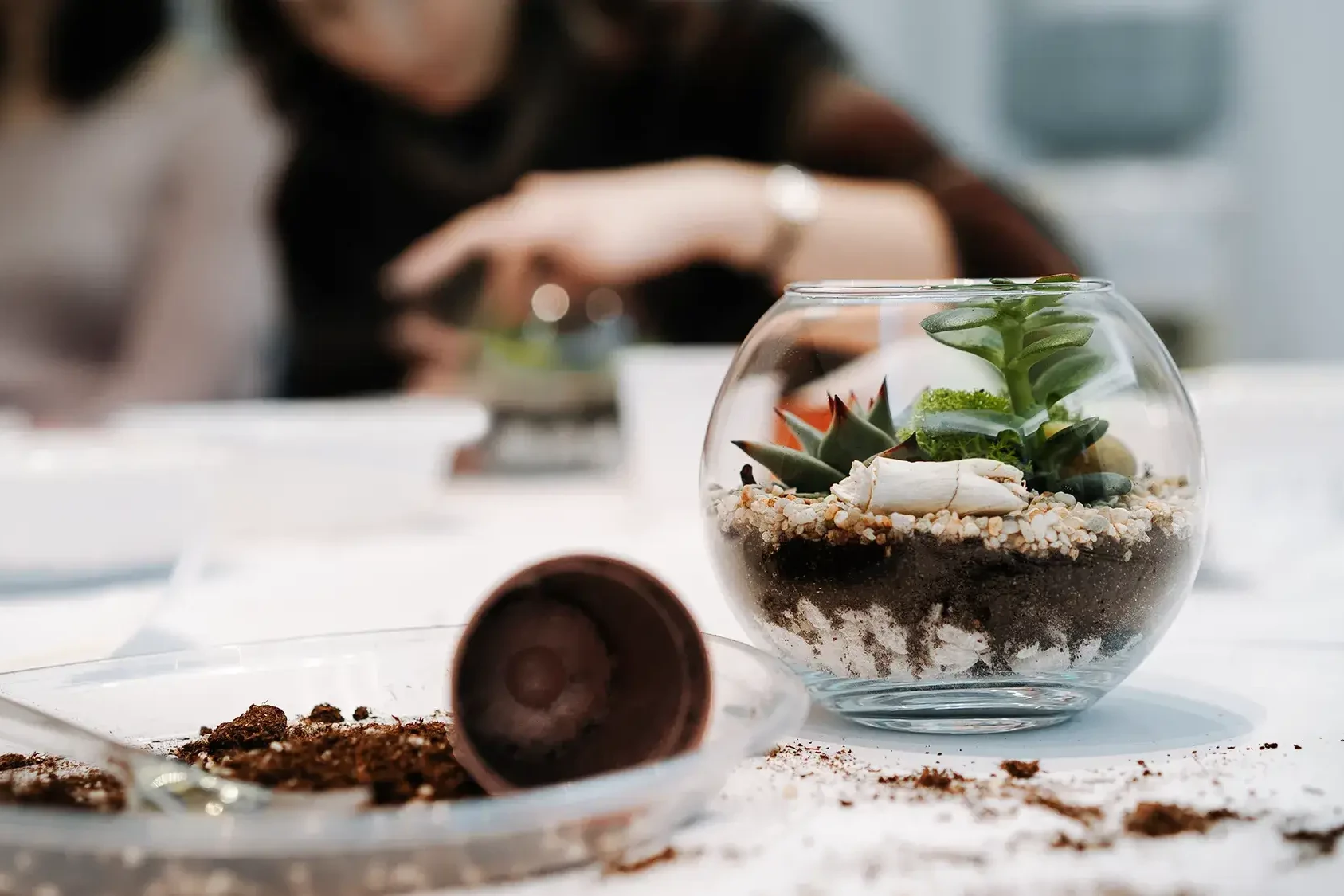 terrarium making class with employees