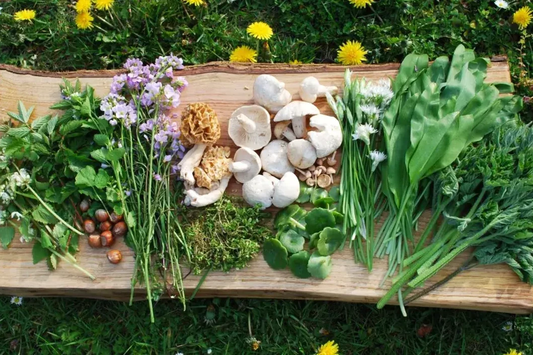 wild foraging plants mushrooms and flowers on a wooden board
