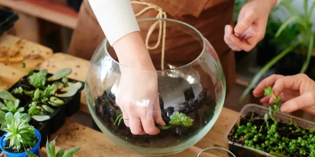 women building terrarium in sustainability team building workshop