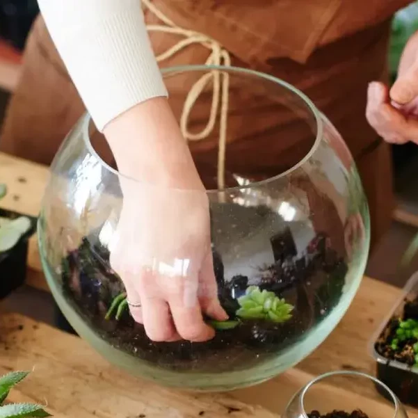 women building terrarium in sustainability team building workshop