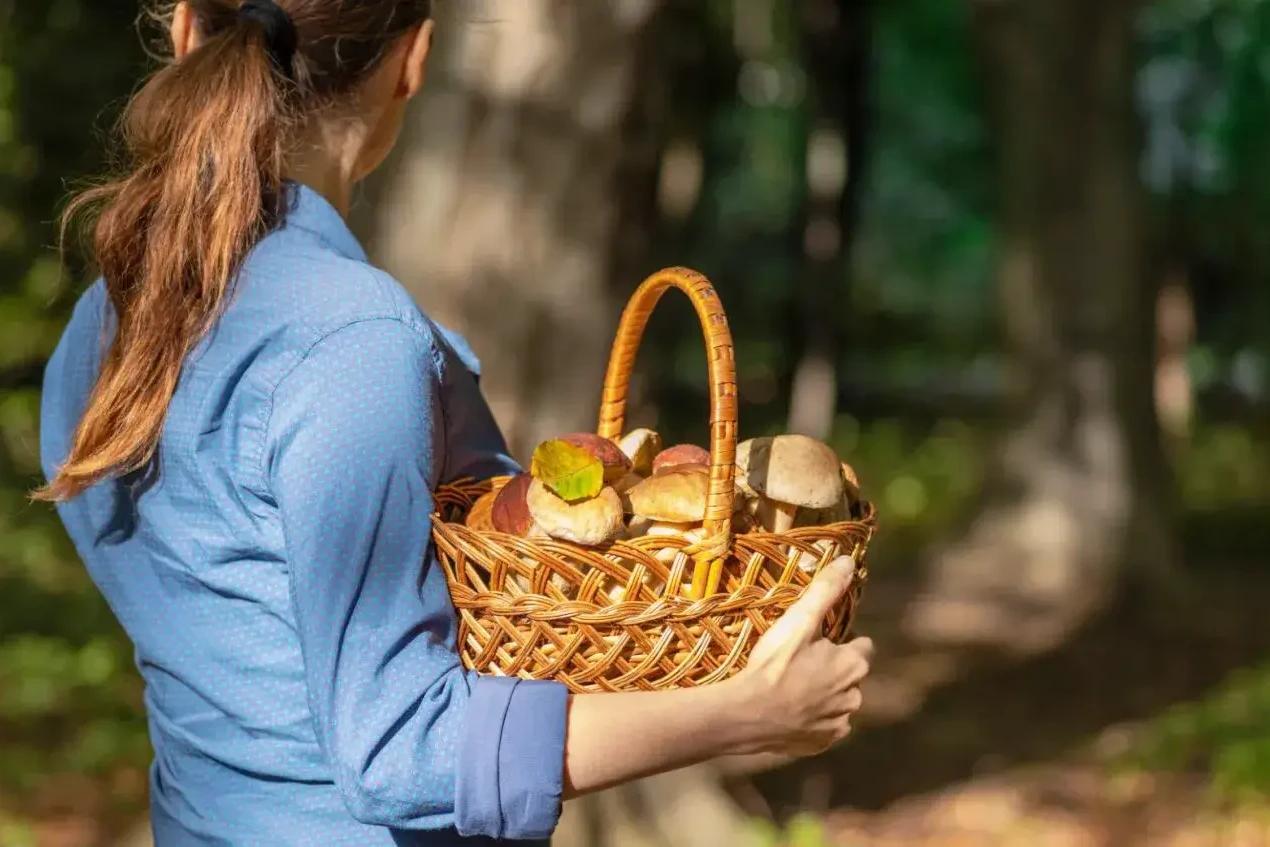 women carrying basket full of wild mushrooms in team building event
