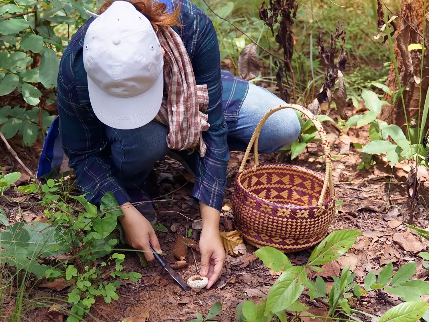 women picking wild mushroom in forest during team building event